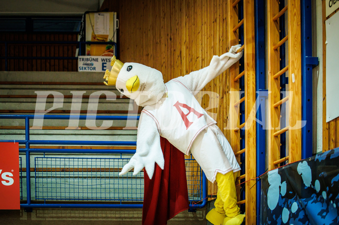 Basketball, Basketball Austria Cup 2022/23, Damen Finale, UBI Graz, BK Raiffeisen Duchess, #mascot