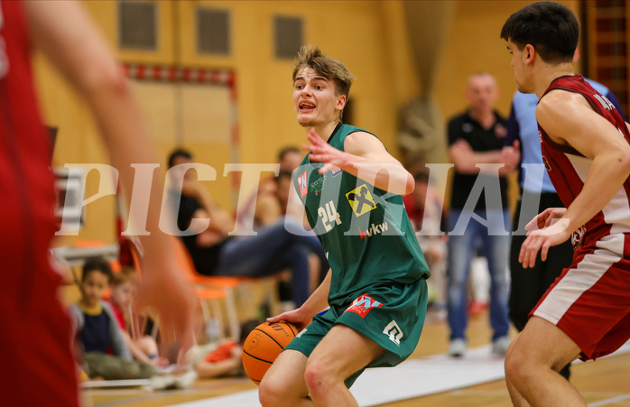 Basketball Zweite Liga 2023/24, Playoff Viertelfinale Spiel 1 Mistelbach Mustangs vs. Dornbirn Lions


