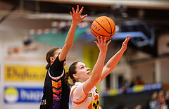 Basketball Damen Superliga 2024/25, Grunddurchgang 10.Runde BK Duchess Klosterneuburg vs. Vienna United


