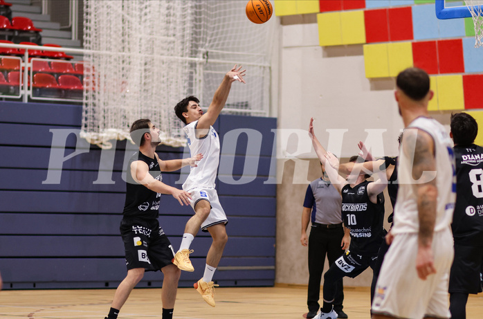 Basketball Zweite Liga 2023/24, Grunddurchgang 12.Runde BBU Salzburg vs. Güssing Blackbirds


