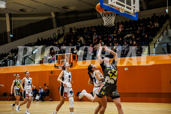 Basketball, Win2Day Basketball Damen Superliga 2024/25, Grunddurchgang 9.Runde, Vienna Timberwolves, Klosterneuburg Duchess, Victoria Matzka (5)