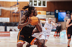 Basketball, Basketball Superliga 2023/24, Grunddurchgang 22.Runde, Oberwart Gunners, F