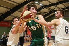 Basketball 2.Bundesliga 2016/17, Grundurchgang 19.Runde D.C. Timberwolves vs. Dornbild Lions


