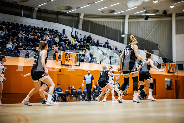 Basketball, Win2Day Basketball Damen Superliga 2024/25, Grunddurchgang 14.Runde, Vienna Timberwolves, Basket Flames, Aleksandra Novakovic (8)