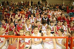 Basketball ABL 2014/15 Grunddurchgang 17.Runde Traiskirchen Lions vs. WBC Wels