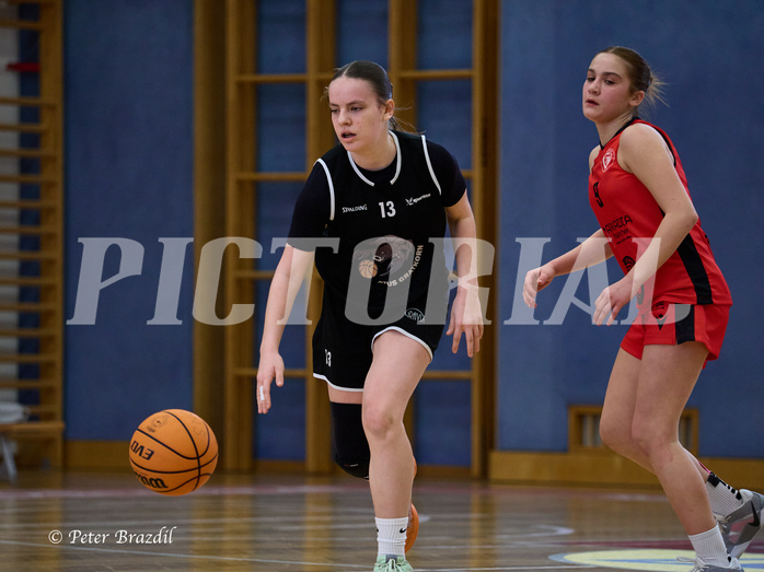 Basketball Superliga 2024/25, SLWU14 Traiskirchen Lionesses vs. Gratkorn Scorpions


