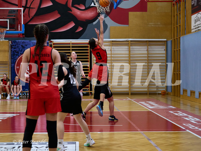 Basketball Superliga 2024/25, SLWU16 Traiskirchen Lionesses vs. BBC Nord Dragons


