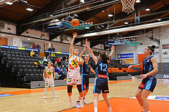 Basketball Austria Cup 2023/24, Viertelfinale BK Duchess Klosterneuburg vs. Vienna Timberwolves


