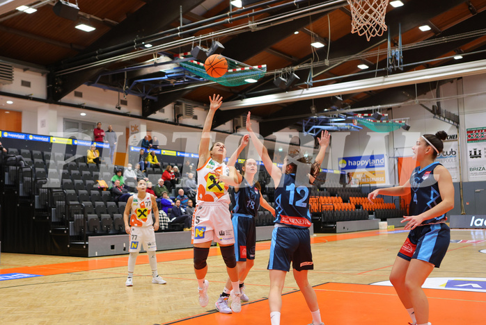 Basketball Austria Cup 2023/24, Viertelfinale BK Duchess Klosterneuburg vs. Vienna Timberwolves


