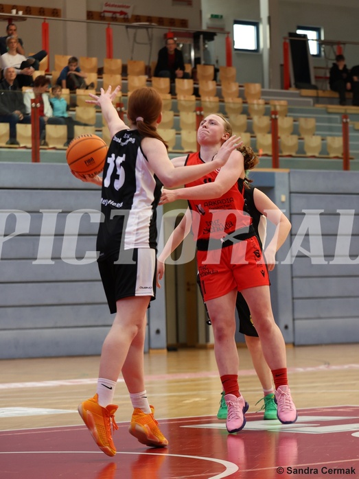 Basketball Superliga 2024/25, SLWU16 Traiskirchen Lionesses vs. DBK Steyrer Witch Cadets


