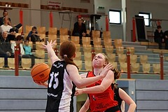 Basketball Superliga 2024/25, SLWU16 Traiskirchen Lionesses vs. DBK Steyrer Witch Cadets


