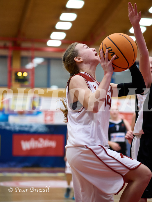 Basketball Superliga 2024/25, SLWU14 Traiskirchen Lionesses vs. DBK Steyrer Witches



