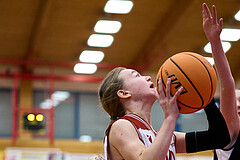 Basketball Superliga 2024/25, SLWU14 Traiskirchen Lionesses vs. DBK Steyrer Witches


