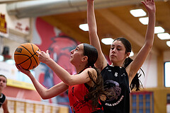 Basketball Superliga 2024/25, SLWU14 Traiskirchen Lionesses vs. Gratkorn Scorpions


