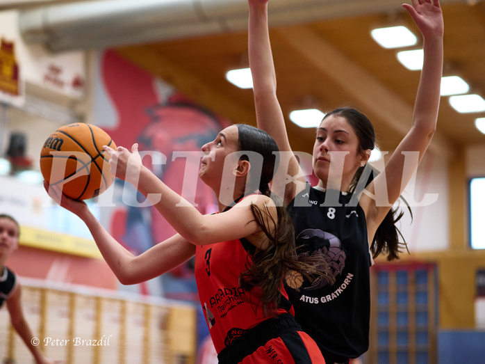 Basketball Superliga 2024/25, SLWU14 Traiskirchen Lionesses vs. Gratkorn Scorpions


