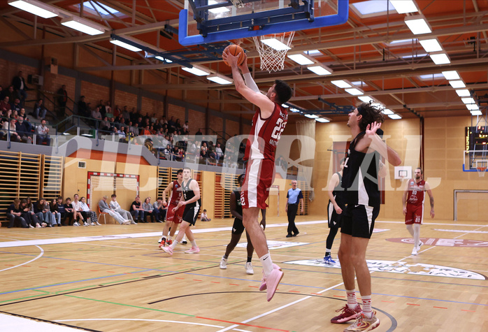 Basketball Zweite Liga 2024/25, Grunddurchgang 21.Runde Mistelbach Mustangs vs. Raiders Tirol


