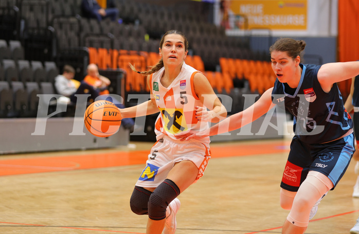 Basketball Austria Cup 2023/24, Viertelfinale BK Duchess Klosterneuburg vs. Vienna Timberwolves


