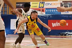 Basketball Zweite Liga 2024/25, Grunddurchgang 17.Runde Traiskirchen Lions NextGen vs. Raiders Tirol