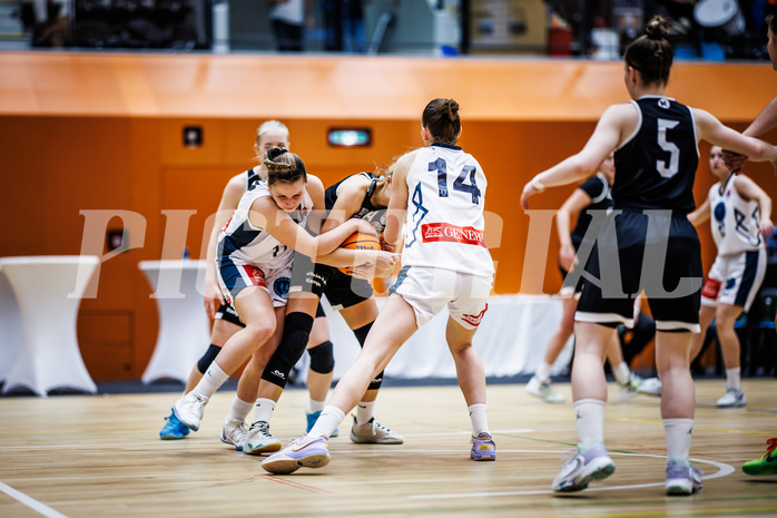 Basketball, Win2Day Basketball Damen Superliga 2023/24, Grunddurchgang 5.Runde, Vienna Timberwolves, Basket Flames, Antonia Dumancic (17), Lara Brunner (14), Melanie Fischer (14)