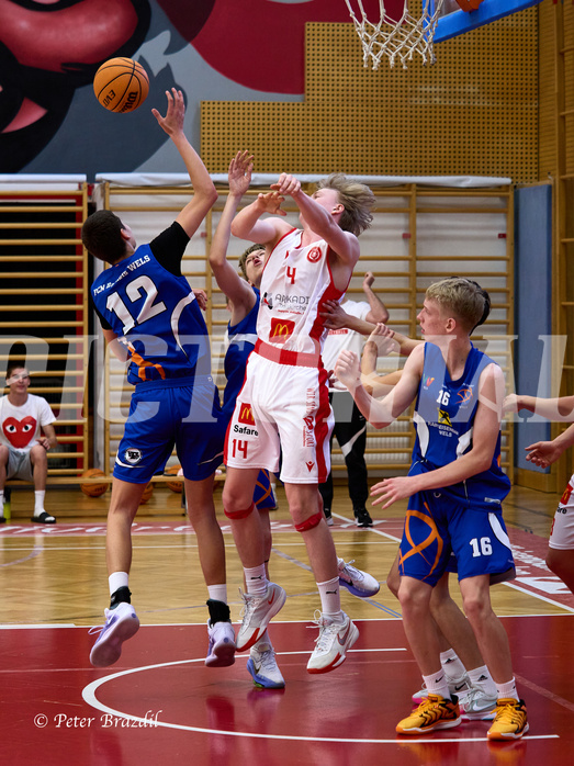 Basketball Superliga 2024/25, SLMU16 Traiskirchen Lions vs. FCN Baskets Wels



