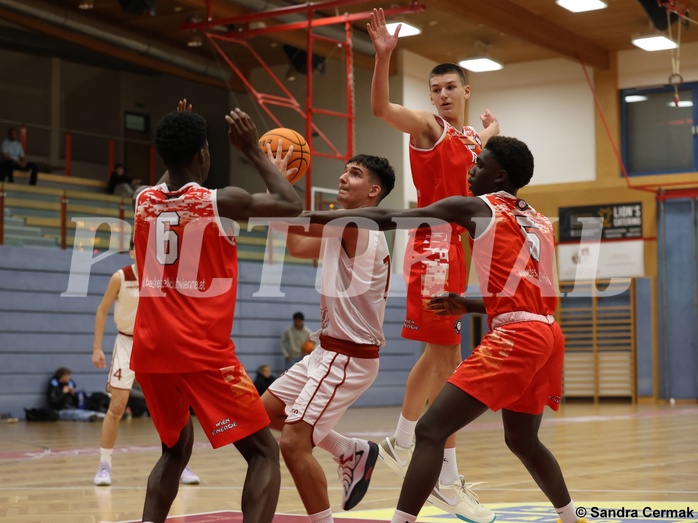 Basketball Superliga 2024/25, SLMU16 Traiskirchen Lions vs. BC Vienna


