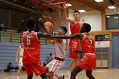 Basketball Superliga 2024/25, SLMU16 Traiskirchen Lions vs. BC Vienna


