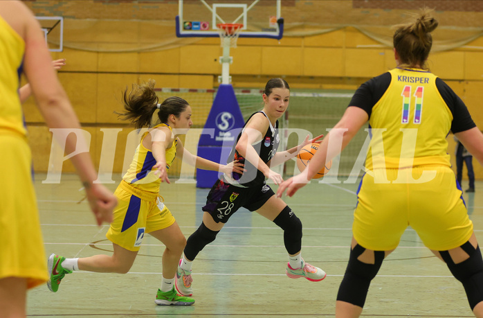 Basketball Damen Superliga 2023/24, Grunddurchgang 3.Runde Vienna United vs. SKN St.Pölten


