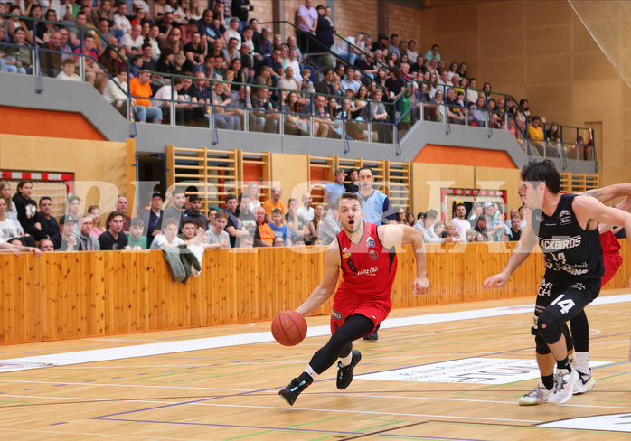 Basketball Zweite Liga 2022/23, Playoff, Finale Spiel 1 Mistelbach Mustangs vs. Güssing Blackbirds



