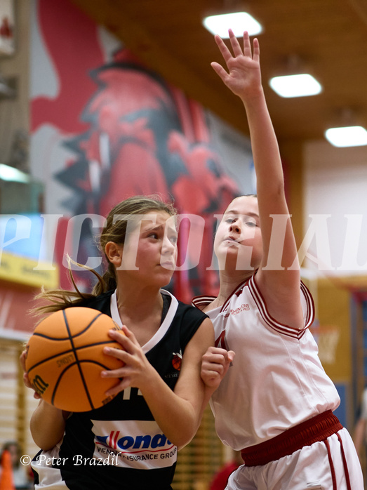 Basketball Superliga 2024/25, SLWU14 Traiskirchen Lionesses vs. DBK Steyrer Witches


