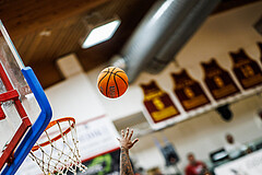 Basketball, Win2Day Superliga 2024/25, Playoffs, Halbfinale Spiel 2, Traiskirchen Lions, Oberwart Gunners, Caleb Fields (4)