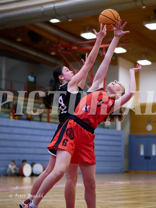 Basketball Superliga 2024/25, SLWU14 Traiskirchen Lionesses vs. Gratkorn Scorpions


