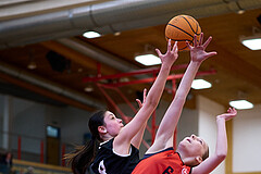 Basketball Superliga 2024/25, SLWU14 Traiskirchen Lionesses vs. Gratkorn Scorpions


