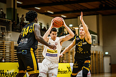 Basketball, Basketball Zweite Liga, Grunddurchgang 17.Runde, Mattersburg Rocks, Fürstenfeld Panthers, Ivan Begic (35)