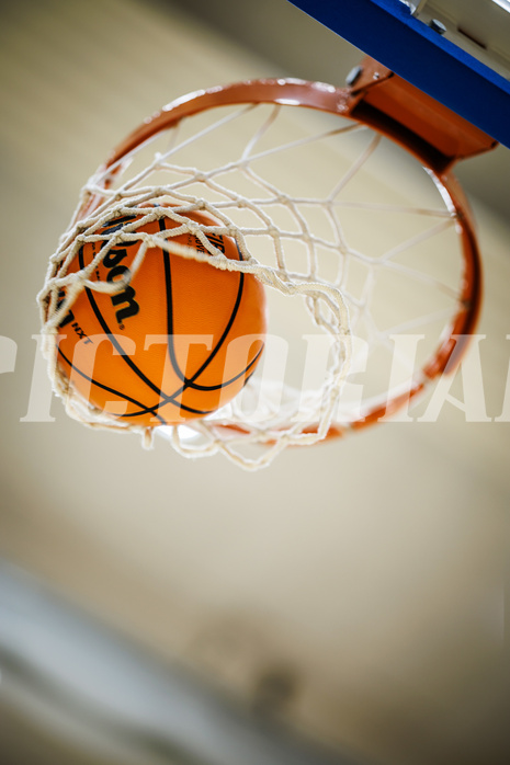 Basketball, Win2Day Superliga 2023/24, Grunddurchgang 3.Runde, Vienna Timberwolves, Oberwart Gunners, feature, ball