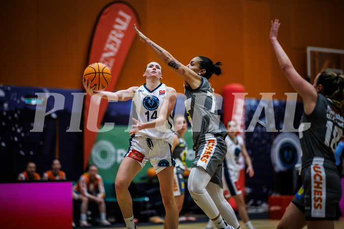 Basketball, Win2Day Basketball Damen Superliga 2023/24, Grunddurchgang 1.Runde, Vienna Timberwolves, Klosterneuburg Duchess, Melanie Fischer (14), Evangelia Vamvaka (77)