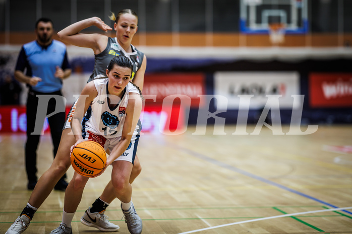 Basketball, Win2Day Basketball Damen Superliga 2023/24, Grunddurchgang 1.Runde, Vienna Timberwolves, Klosterneuburg Duchess, 