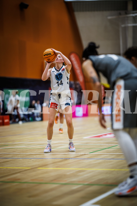 Basketball, Win2Day Basketball Damen Superliga 2023/24, Grunddurchgang 1.Runde, Vienna Timberwolves, Klosterneuburg Duchess, Melanie Fischer (14)