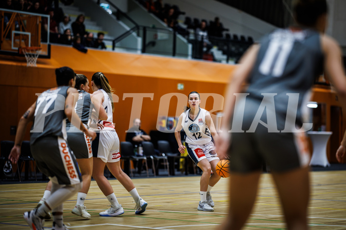 Basketball, Win2Day Basketball Damen Superliga 2023/24, Grunddurchgang 1.Runde, Vienna Timberwolves, Klosterneuburg Duchess, 