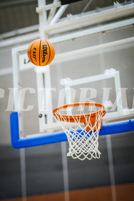 Basketball, Win2Day Superliga 2023/24, Grunddurchgang 3.Runde, Vienna Timberwolves, Oberwart Gunners, feature, ball