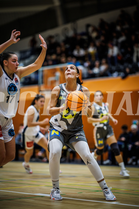 Basketball, Win2Day Basketball Damen Superliga 2023/24, Grunddurchgang 1.Runde, Vienna Timberwolves, Klosterneuburg Duchess, 