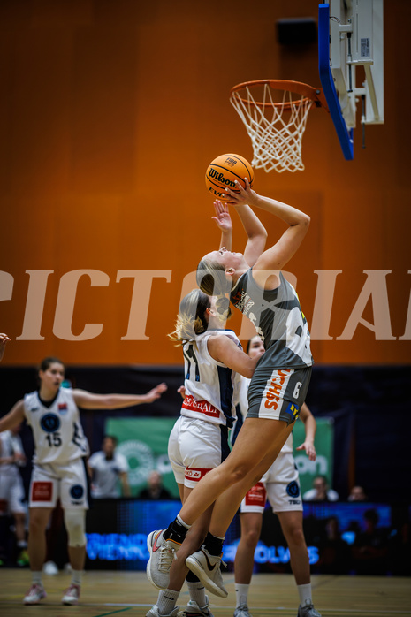 Basketball, Win2Day Basketball Damen Superliga 2023/24, Grunddurchgang 1.Runde, Vienna Timberwolves, Klosterneuburg Duchess, Sina Höllerl (6)
