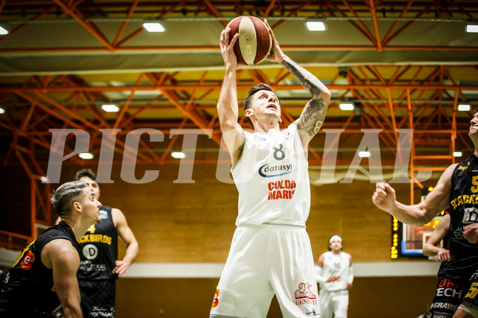 Basketball, Basketball Zweite Liga, Grunddurchgang 15.Runde, BBC Nord Dragonz, Güssing Jennersdorf Blackbirds, Petar Zivkovic (8)