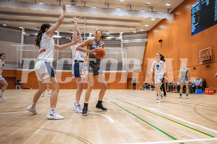 Basketball, Win2Day Basketball Damen Superliga 2022/23, Grunddurchgang 12.Runde, Vienna Timberwolves, BK Raiffeisen Duchess Klosterneuburg, Sarah Schicher (15)