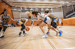 Basketball, Win2Day Basketball Damen Superliga 2022/23, Grunddurchgang 12.Runde, Vienna Timberwolves, BK Raiffeisen Duchess Klosterneuburg, Sina Höllerl (10)