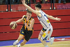 08.03.2017 Basketball ABL 2016/17 Grunddurchgang 27. Runde Kapfenberg bulls vs bk dukes Klosterneuburg