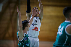 Basketball, Basketball Zweite Liga, Grunddurchgang 16.Runde, BBC Nord Dragonz, KOS Celovec, Filip Mileta (6)