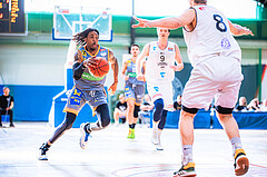 Basketball Basketball Superliga 2021/22, Playdown Spiel 3 Vienna D.C. Timberwolves vs. Klosterneuburg Dukes