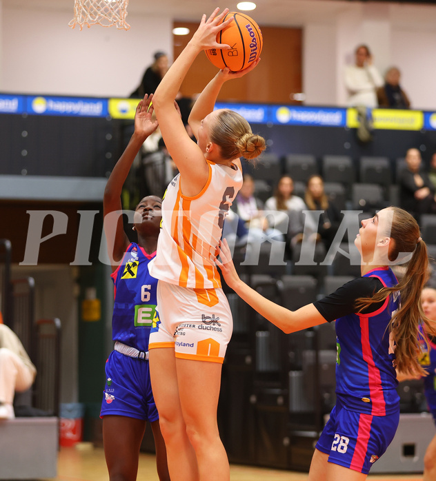 Basketball Damen Superliga 2024/25, Grunddurchgang 2.Runde BK Duchess Klosterneuburg vs. UBSC DBBC Graz


