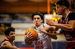 Basketball, win2day Basketball Superliga 2024/25, Qualifikationsrunde 9
, BBC Nord Dragonz, BC Vienna, Konstantin Sauer (9)