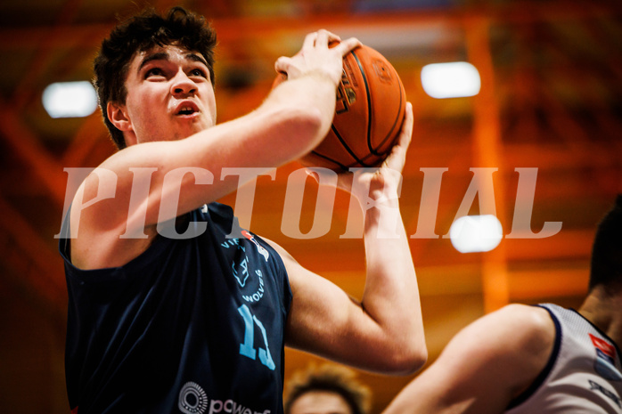Basketball, win2day Basketball Superliga 2022/23, 1. Qualifikationsrunde, BBC Nord Dragonz, Vienna DC Timberwolves, Luka Damjanac (13)